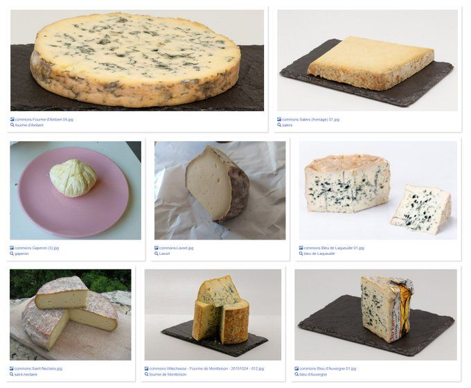Galerie d'images de fromages produits dans le Puy-de-Dôme
